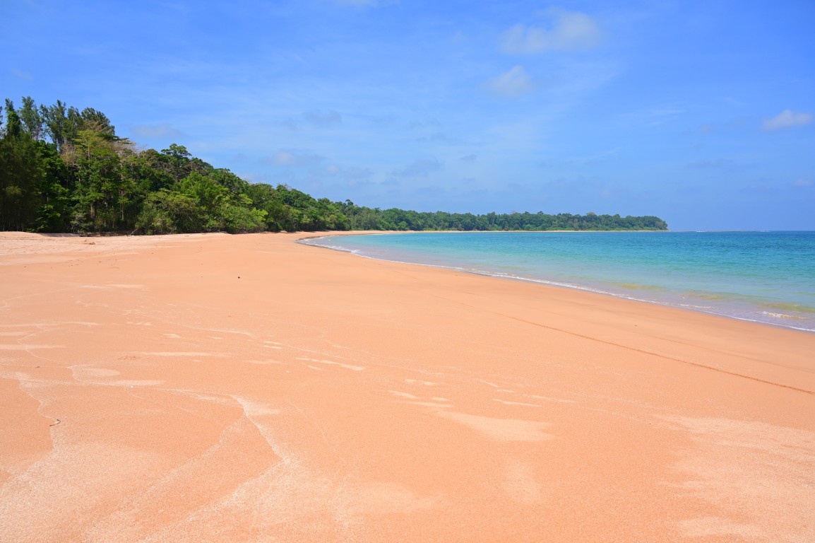 Butler Bay Beach 